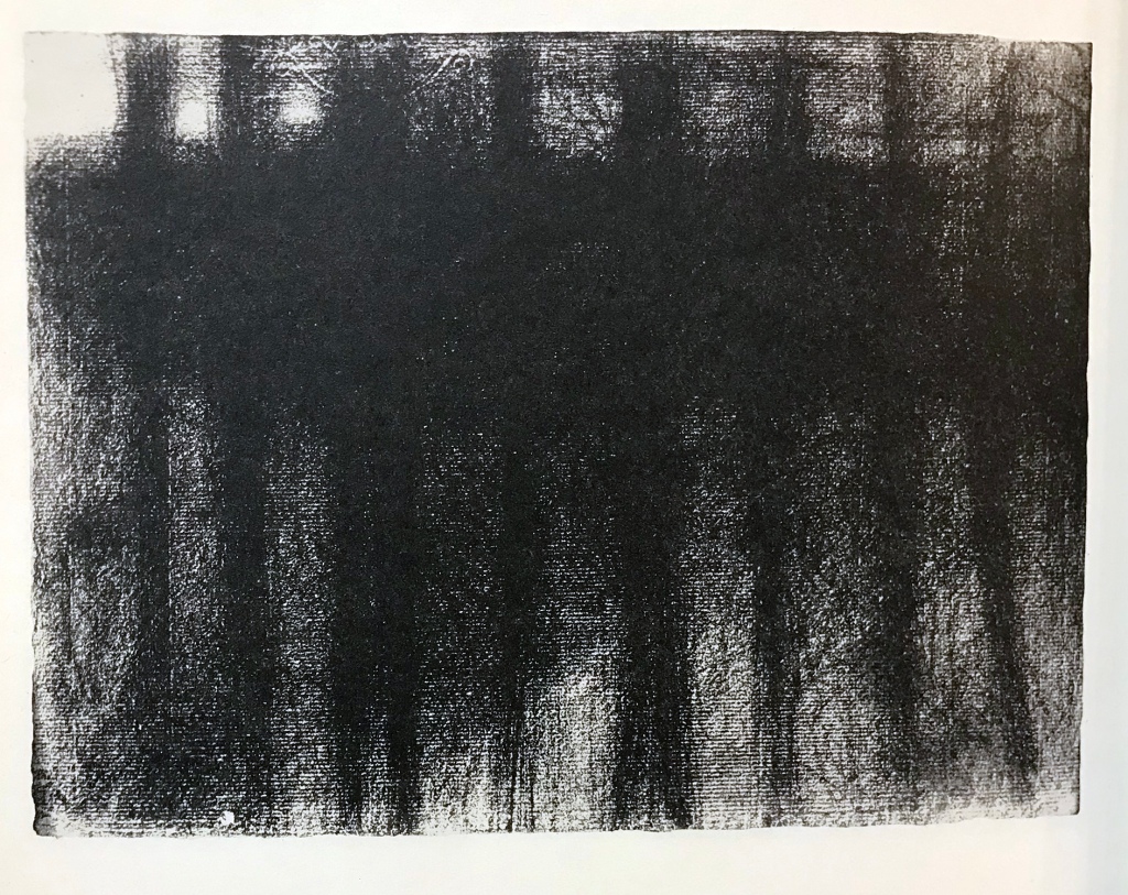 conte crayon drawing of trees reflected on water