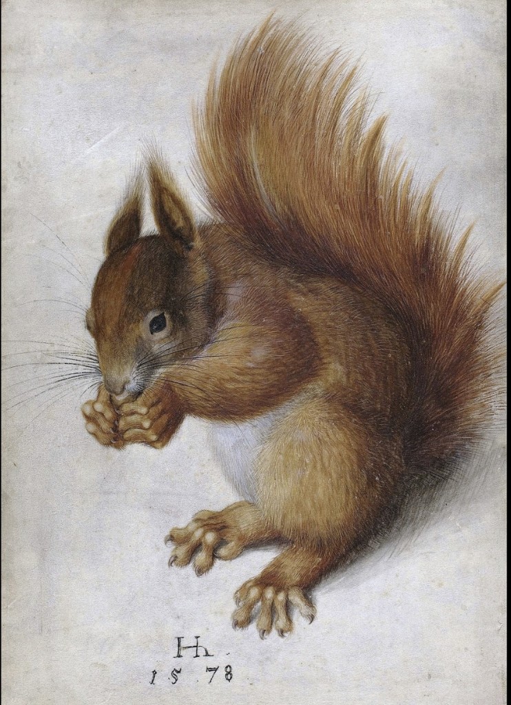 painting of squirrel by hans hoffmann
